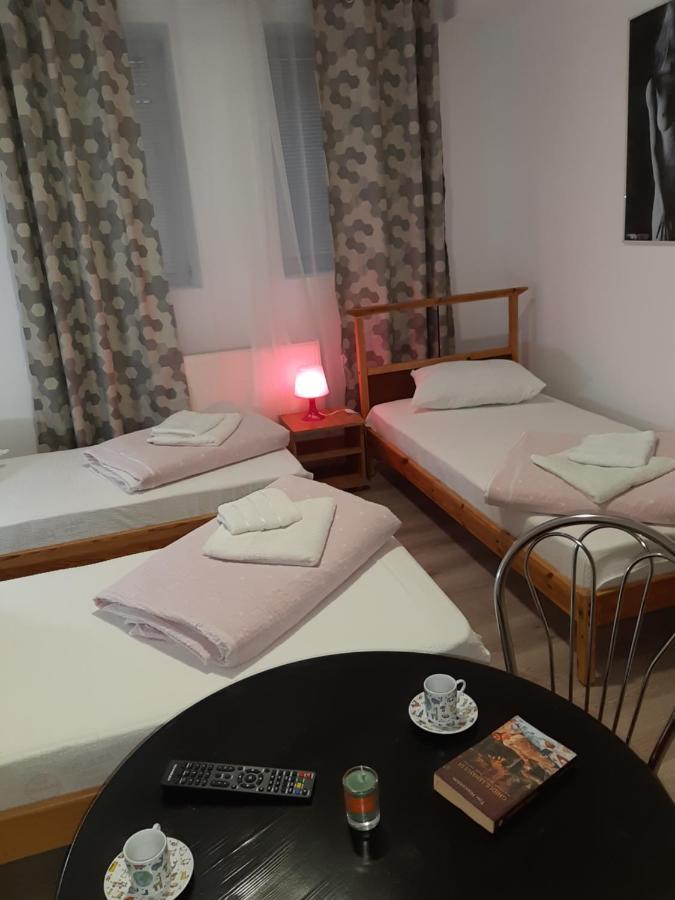 Carol 51 Hostel